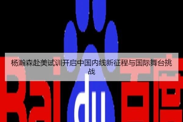 杨瀚森赴美试训开启中国内线新征程与国际舞台挑战