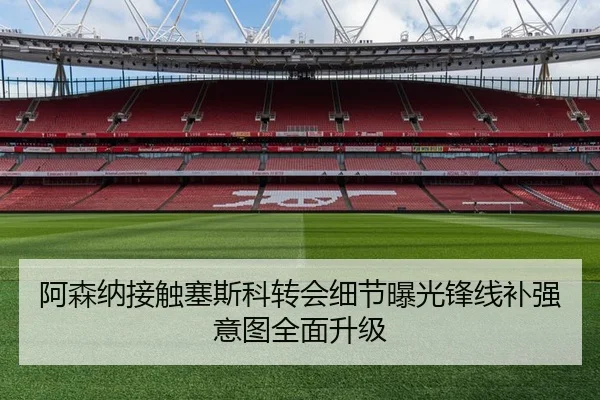 阿森纳接触塞斯科转会细节曝光锋线补强意图全面升级