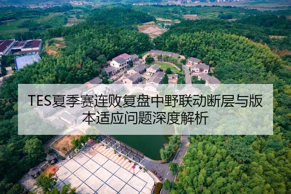 TES夏季赛连败复盘中野联动断层与版本适应问题深度解析